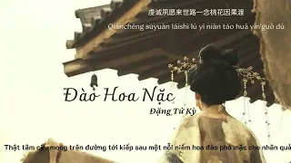 [Vietsub+Pinyin+Hanzi] Đào Hoa Nặc (桃花諾) -  Đặng Tử Kỳ (鄧紫棋) | Thượng cổ tình ca OST Lyrics