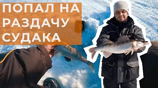 Зимняя рыбалка на судака | Попал на раздачу