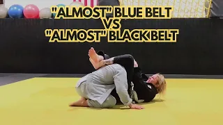 Almost Blue Belt vs Almost Black Belt #bjj #bjjrolls #jiujitsu #brazilianjiujitsu