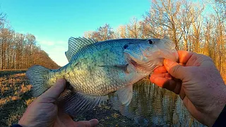 February Crappie Fishing   -   Bank fishing with jigs and bobbers