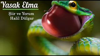 YASAK ELMA -Şiir ve Yorum: Halil Dülgar