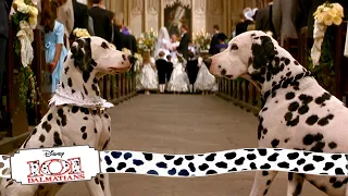 Wedding Bells | (5/15) Movie Scenes | 101 Dalmatians (1996) HD