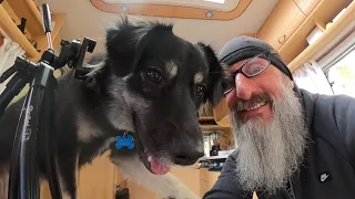 Offroad Fly Fishing and Tooth Pulling Action in the day of Caravan Vlog Life Austria