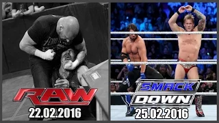 WWE Fan Show. Обзор RAW 22.02.2016 & SmackDown 25.02.2016