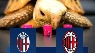 Bologna vs AC Milan Prediction - Serie A - Turtle Prediction