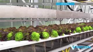 Viscon Hydroponics - Fully Automated Hydroponic System - Gipmans