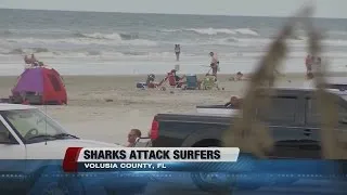 Two surfers attacked by sharks at central Florida beach