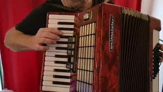 Weltmeister Stella 80 Bass accordeon