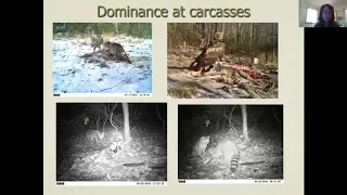 BIST seminar talk on camera traps