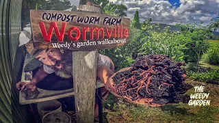 FROM SCRAPS TO SOIL GOLD: Inside a Compost Worm Farm