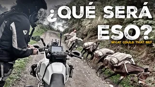 Este es EL MAYOR PELIGRO de COLOMBIA (S24/E05) VUELTA al MUNDO en MOTO con CHARLY SINEWAN