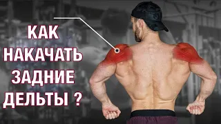 Как накачать ЗАДНИЕ ДЕЛЬТЫ? | Джефф Ниппард