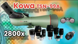 Kowa TSN-99A PROMINAR, Тесты.