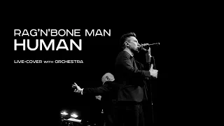 Rag'n'bone Man - Human (cover with orchestra)