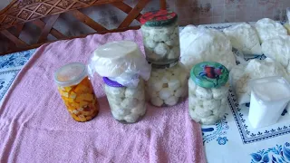 Ассортимент молочной продукции, которую мы производим.