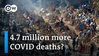 India's COVID deaths up to ten times higher than official tally | DW News