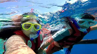 Snorkling in Maldives | Non-swimmers doing Snorkling efficiently | Adaaran Maldives Snorkelling