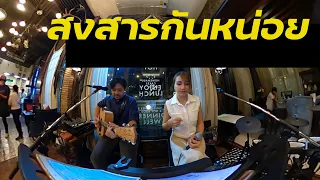 สงสารกันหน่อย - มาลีวัลย์ เจมีน่า | cover