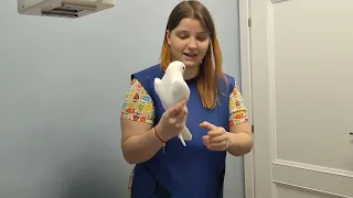 Как сделать птице рентген