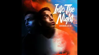 DIDDLE D _ INTO THE NIGHT - ((( ARTISTIK EXTENDED REMIX )))