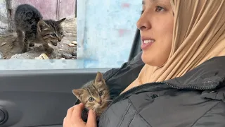 Trying to save a kitten that is shivering because it feels very cold.