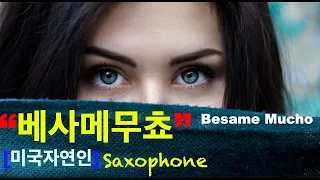 "Besame  Mucho~ Alto Saxophone)~베사메무쵸