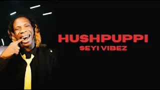 HUSHPUPPI - SEYI VIBEZ (lyrics)