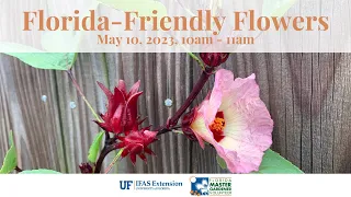 Webinar: Florida-Friendly Flowers