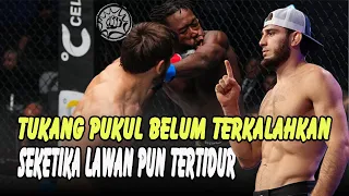 JAGO STRIKING!! MAGOMED UMALATOV, BELUM TERKALAHKAN 14 - 0. 11 KEMENANGAN MELALUI TKO/TKO