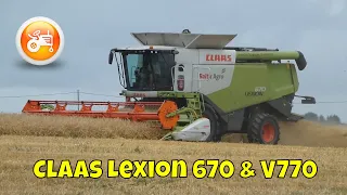 Harvest 2022 | Claas Lexion 670 combine & V770 header