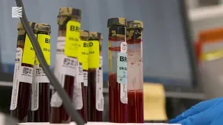 Blood Biopsy: Broad Institute