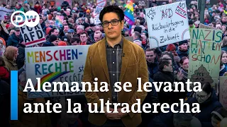 ¿Hay que prohibir al partido ultraderechista alemán AfD?