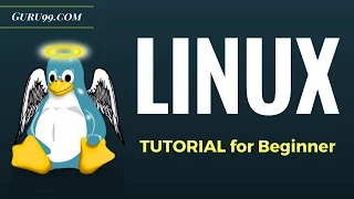 Учебник Linux для начинающих