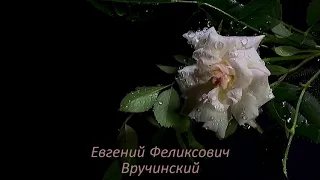 Стих 🌹 Роза с шипами ✒️ Евгений Феликсович Вручинский