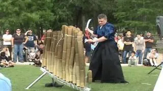 Japan Fest 2009 - World Record