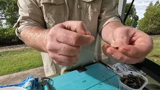 How to Rig and Fish Prawns - The Bait School - Bait Fishing Basics