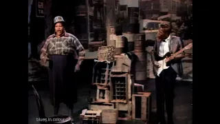 Big Mama Thornton - Hound Dog live [Colourised] 1965