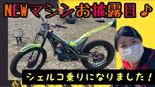 【SHERCO】NEWマシンお披露目 ST FACTORY 250【トライアル】