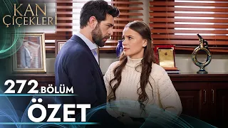 Kan Çiçekleri 272. Bölüm - Özet