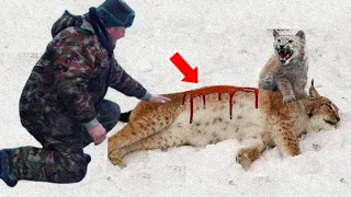 Man Saved a Crying Lynx Cub and Her Dying Mama, How They Repaid Him Is Unbelievable!
