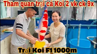 Tham quan trại cá Koi 1000m của Đại Baki-Thái Salem vê lốc