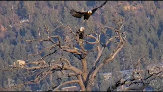 May 14, 2024 Evening: Shadow brings sticks to SDS