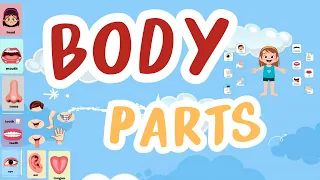 Parts of body|Body parts name|Name of body parts in english