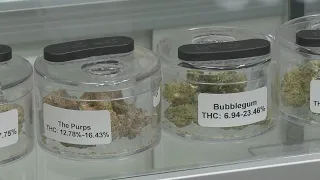 Denver Passes Major Changes To Marijuana Industry