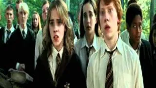 Ron & Hermione ♥  Беспощадная сука, стерва...