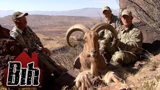 Hunting Old School: Free Range Texas Aoudad Sheep