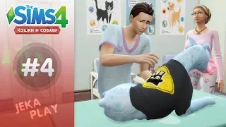 The Sims 4 Кошки и собаки | Ледяная собака! - #4