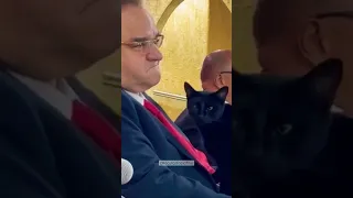 Bispo Abner Ferreira com seu gato de estimação no culto AD Madureira 😂 #shorts #gatos #shortvideo