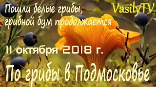 🌳По грибы в Подмосковье 11 октября 2018 г🌳Пошли белые грибы, грибной бум продолжается