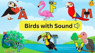 BIRDS Names and Sounds | Learn Alphabet with Bird Names for Toddlers & Kids | Learn ABC | Birds ABC